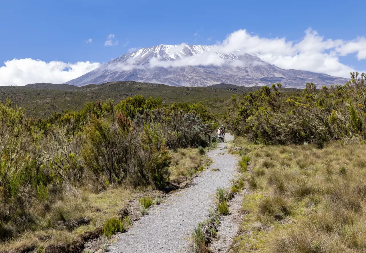 Hikers walking on a mountain trail towards the snowy peak of mount kilimanjaro in tanzania africa